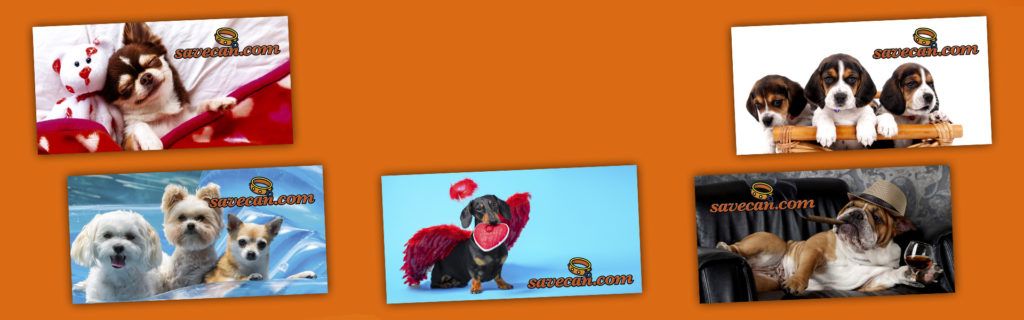 SLIDE_FEB_2021