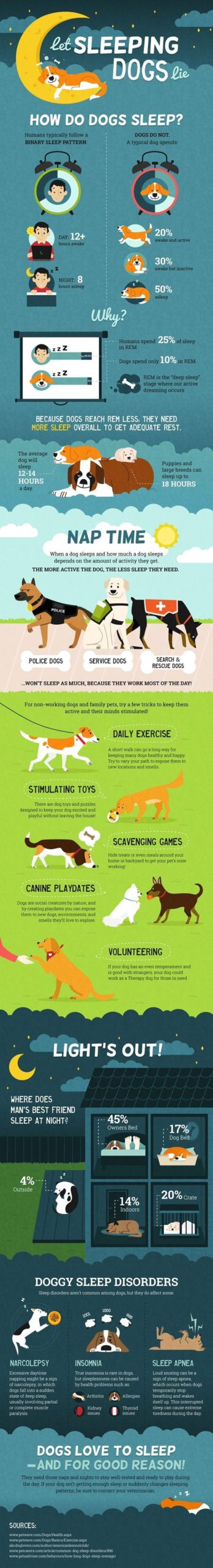 Hábito de sueño de los perros - Infografía