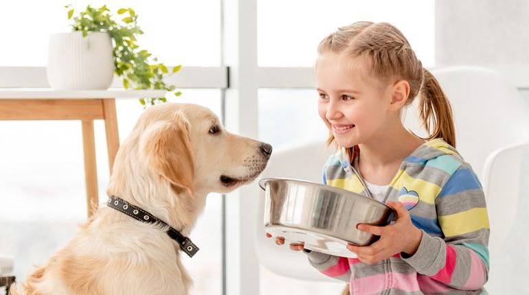 Cuidados del Golden Retriever