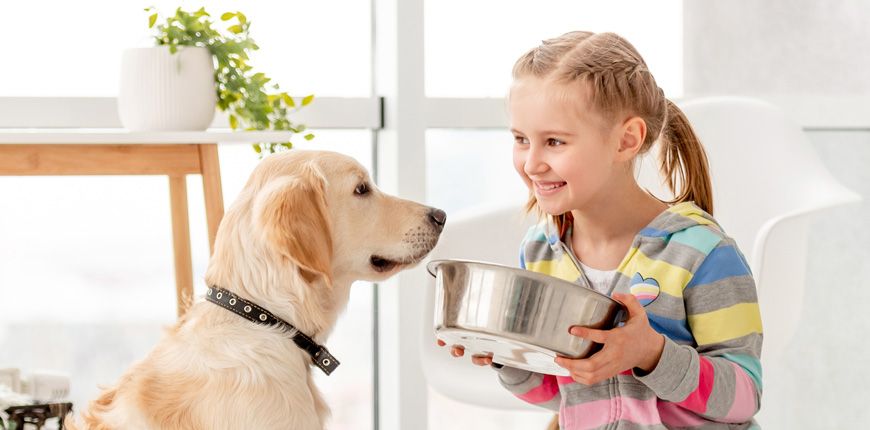 Cuidados del Golden Retriever