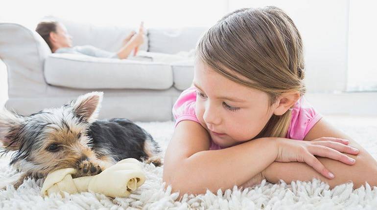 Manual para preparar la llegada del perro a casa