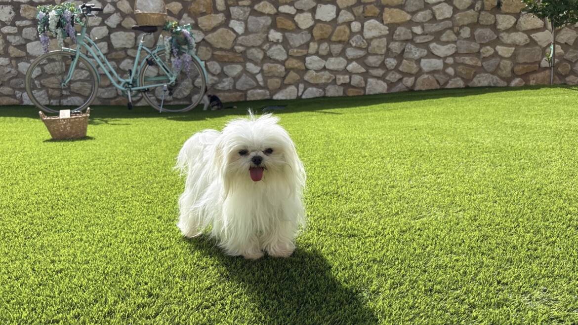 Milo