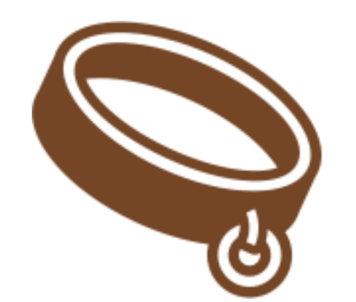 Cómo enseñar a tu perro a caminar con correa (sin tirones)