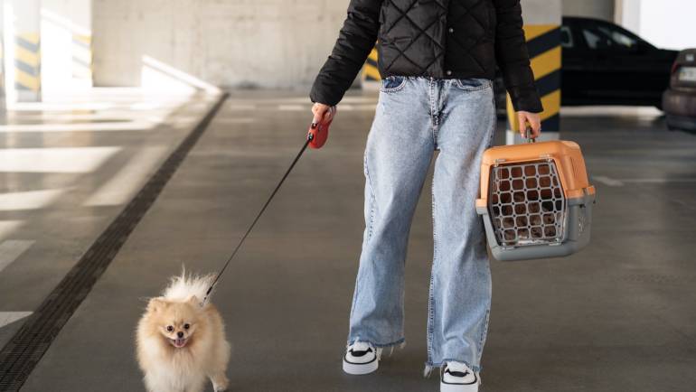 Consejos para comprar cachorros online de forma segura