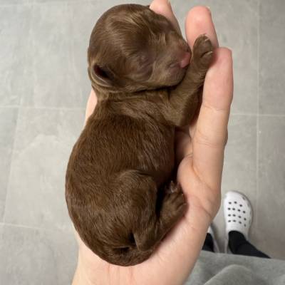 IMG_6894 2 en tamaño grande